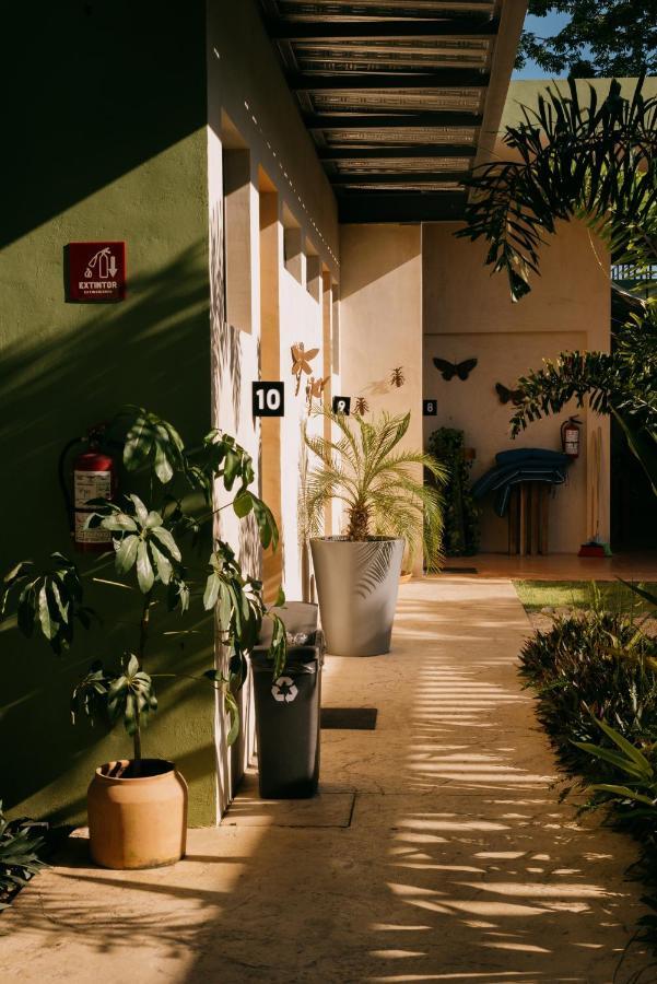 Hostik Hostal Merida Exterior photo